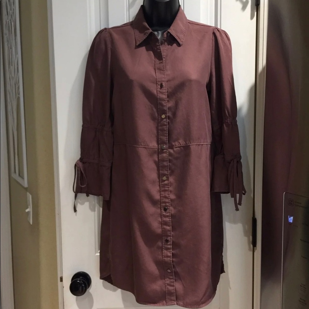 Express chambray dress